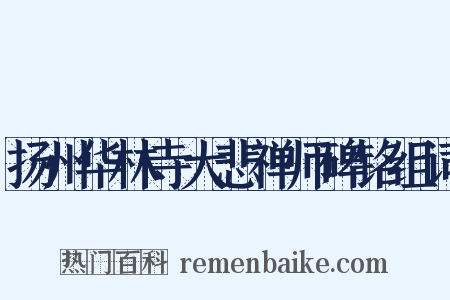 扬州华林寺大悲禅师碑铭组词是什么意思的图片